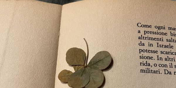 Quadrifoglio di Gheula, regalate ricordi