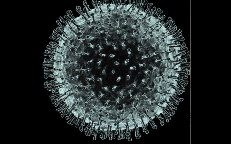 Immagine virus coronavirus