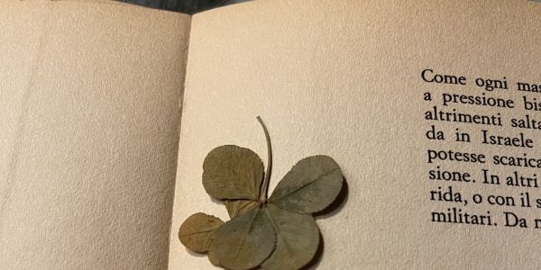 Quadrifoglio di Gheula, regalate ricordi