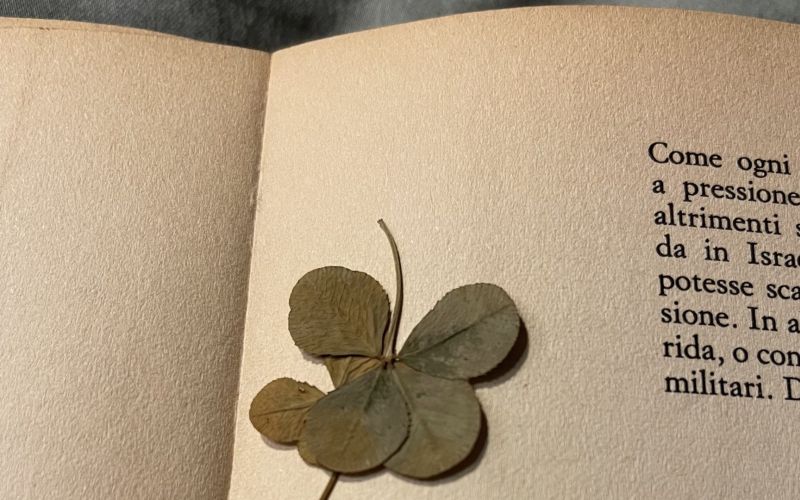 Quadrifoglio di Gheula, regalate ricordi